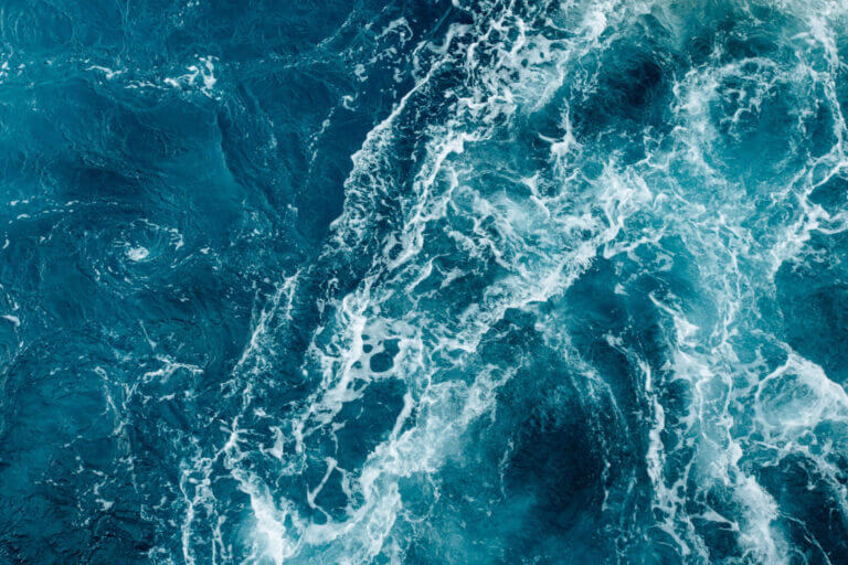 Fresh Ocean