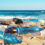Plastic bottles pollution