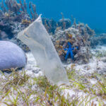 Plastic Pollution Technology