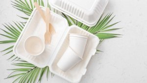 Use compostable foodware in PFAS-free packaging