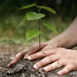 Environmental Responsibility