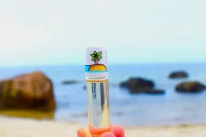 Plantmakeup 100% Natural Botanical Fragrance