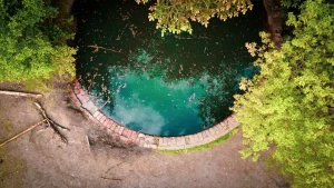 Chemical Free Pool - Natural Swimming Pool