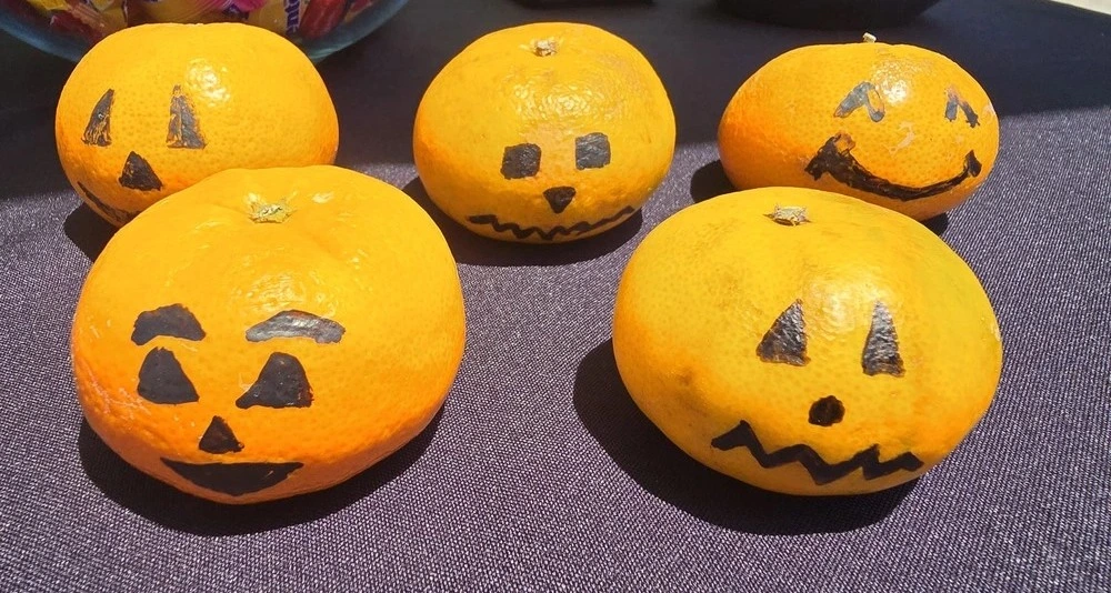 I'm Plastic Free Plastic-free Halloween Treats & Decorations