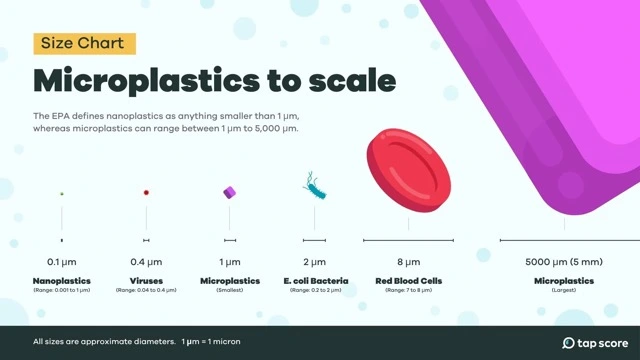 Microplastics Size Chart Infographic