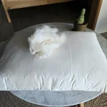 Circadian Wild Harvested Kapok Pillow Plastic-free Pillow