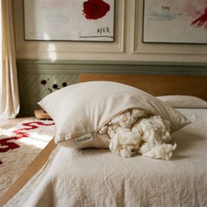 Circadian Plastic Free Pillow